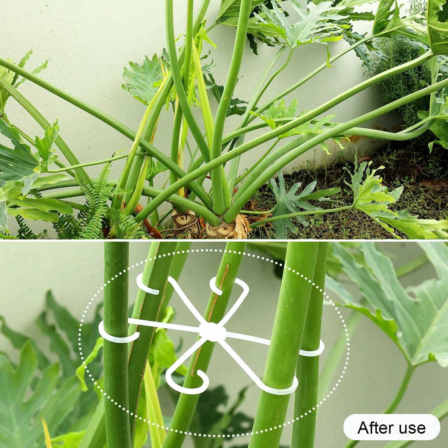 1Pc Plastic Plant Support Clip - Vine Climbing Plastic ulasan dan harga