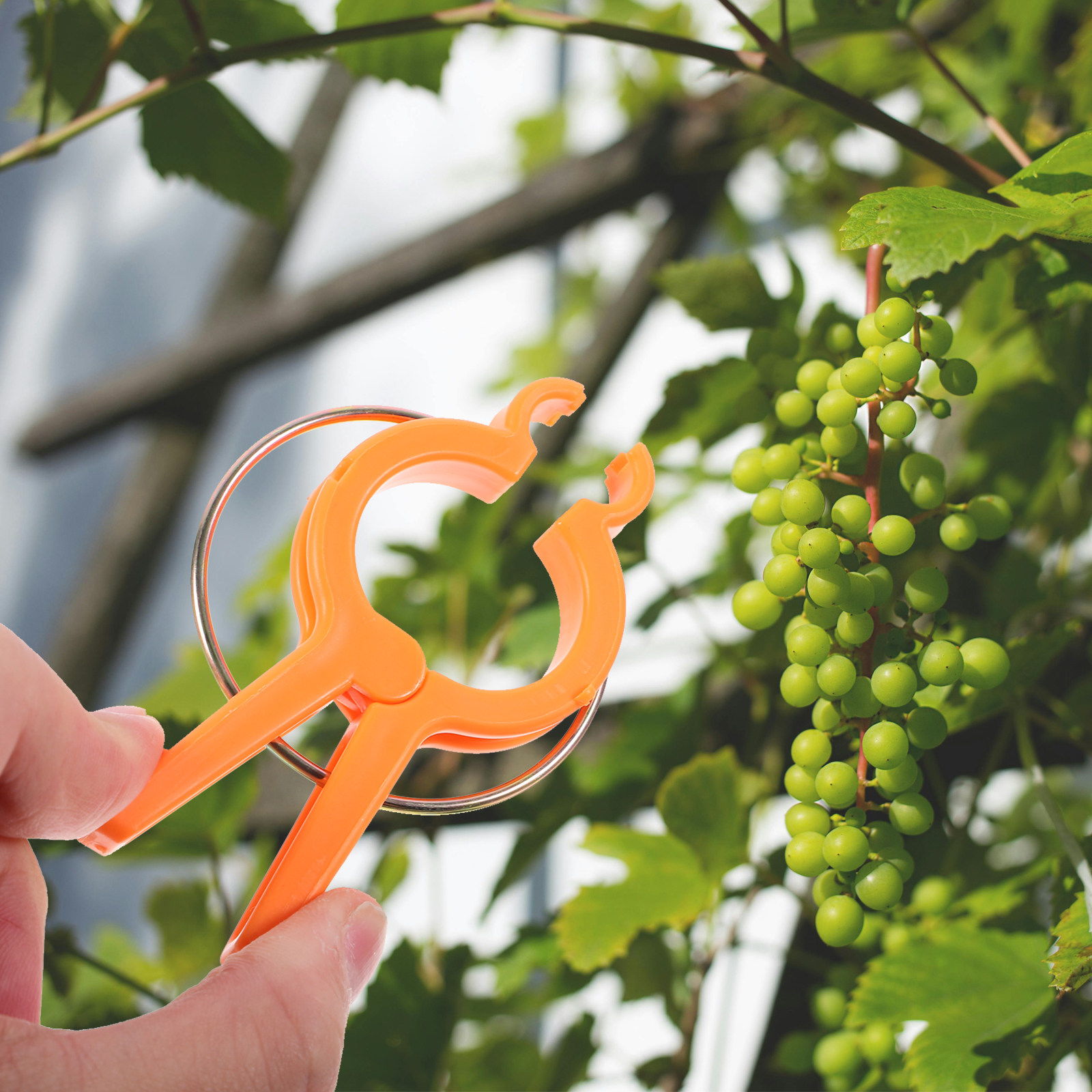 12Pcs Plastic Plant Clips Gard - Vine Climbing Plastic ulasan dan harga