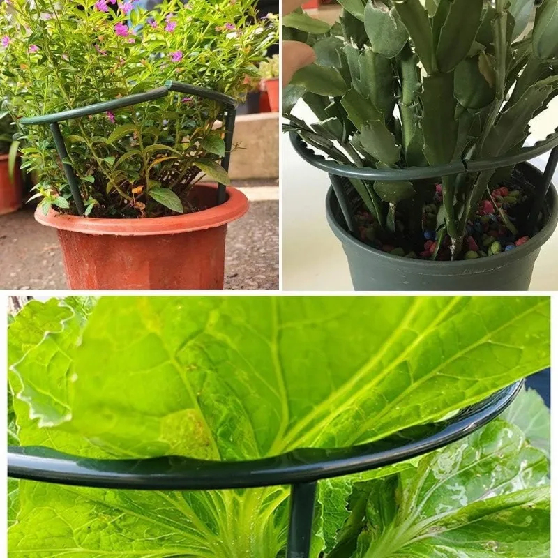 1-9set Plastic Plant Support P - Vine Climbing Plastic ulasan dan harga