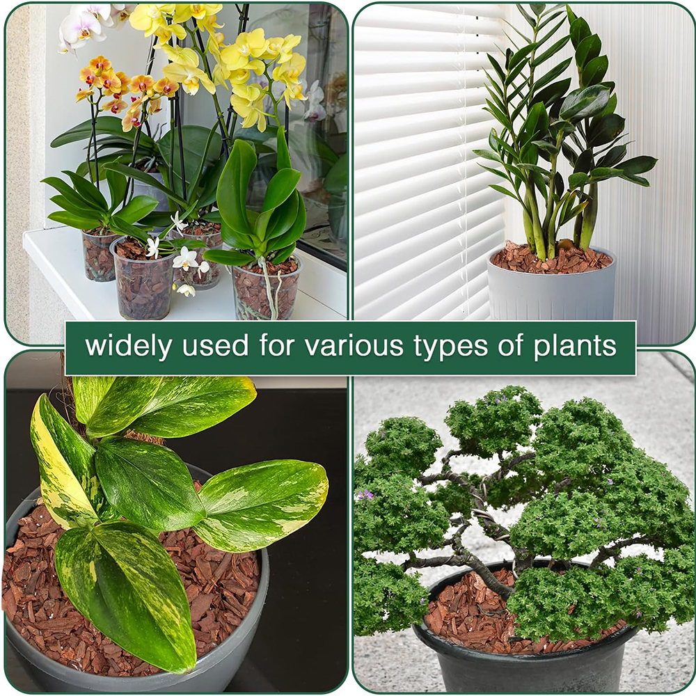 Orchid Potting Mix, a Potting  - Substrate Coconut Fiber ulasan dan harga