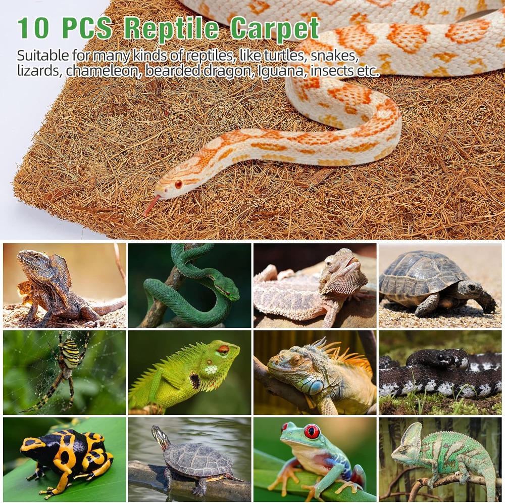 10 Pack Reptile Carpet Mats, 1 - Substrate Coconut Fiber ulasan dan harga