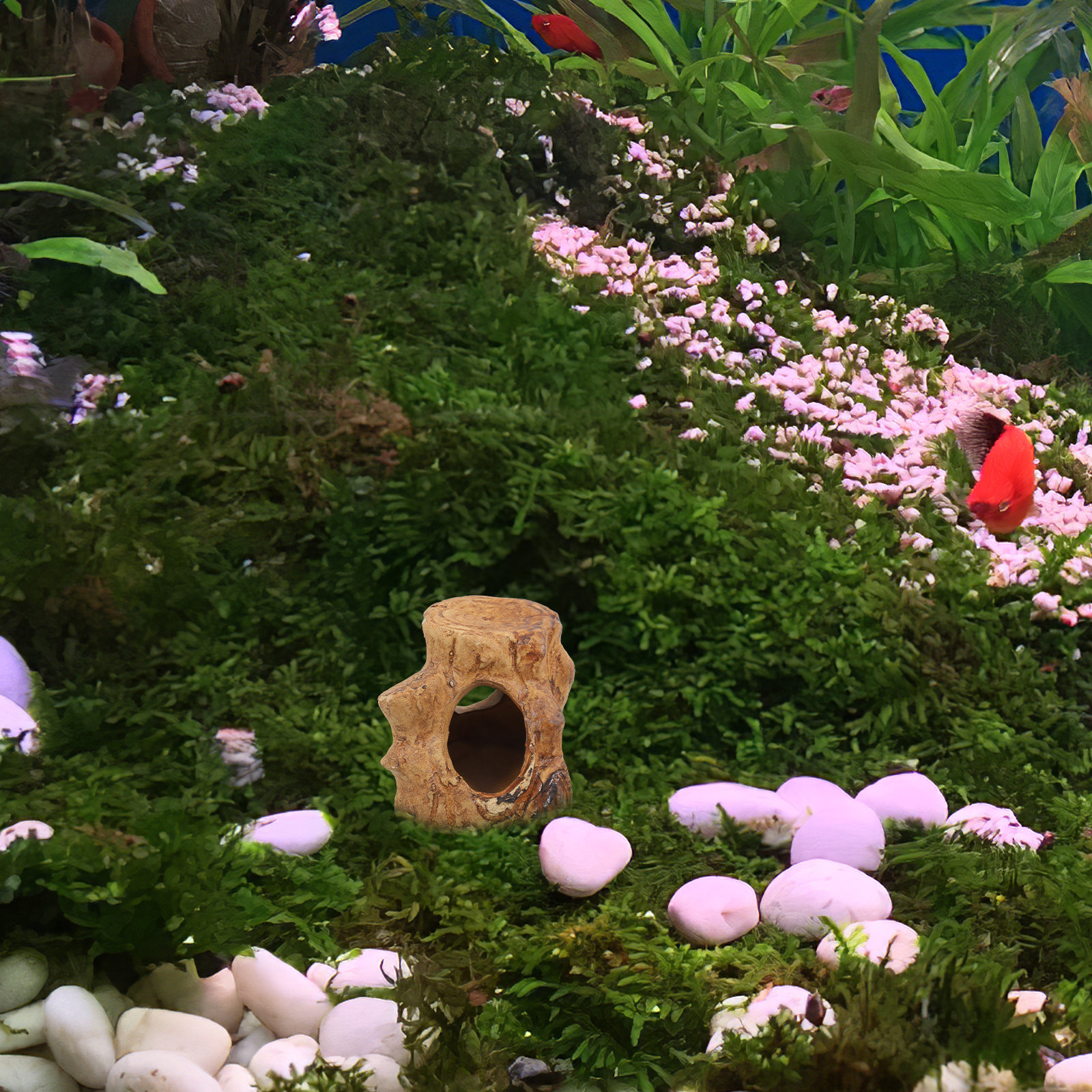 Premium Ceramic Aquarium Caves - Hide Cave Ceramic ulasan dan harga