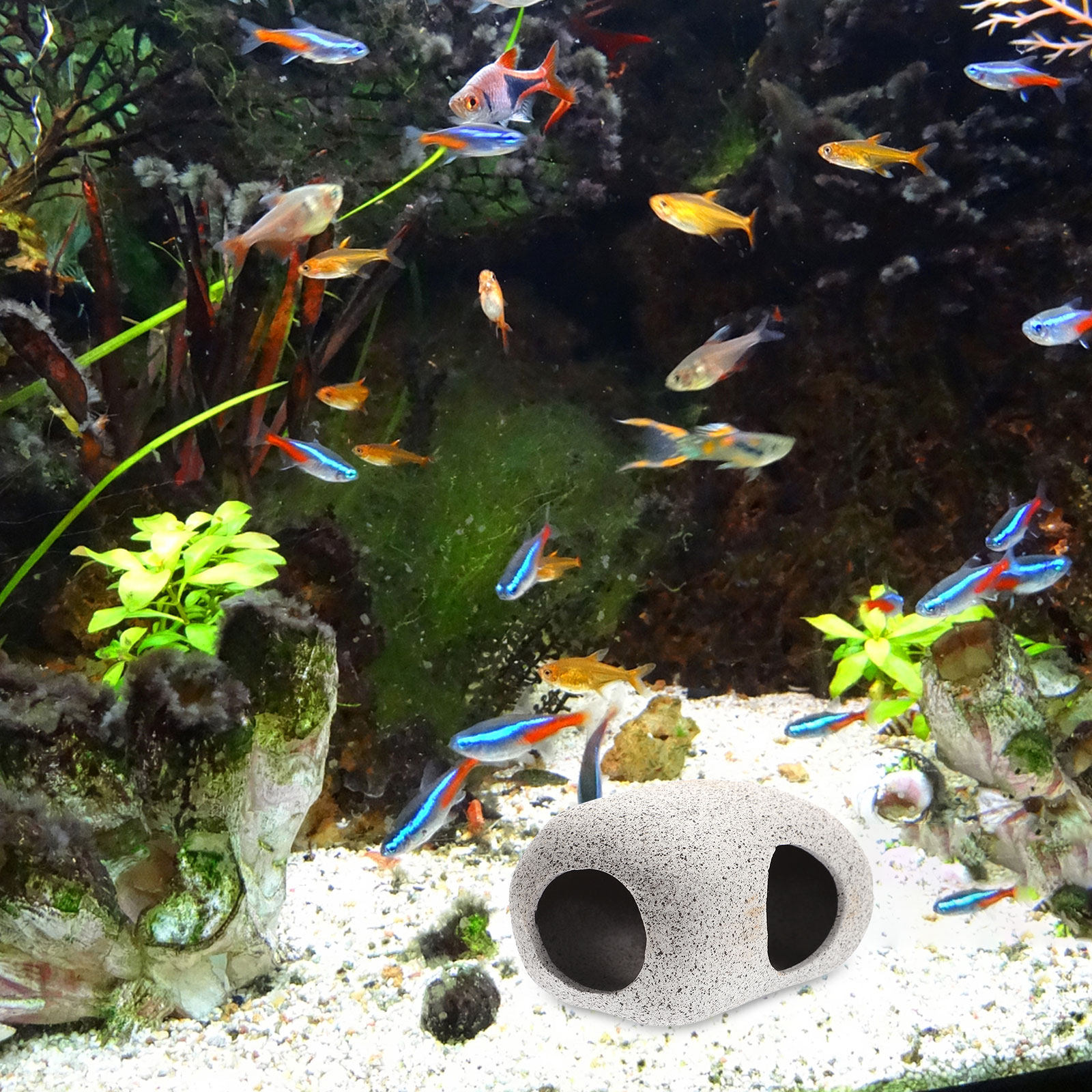 Aquarium Cave Rock Decoration  - Hide Cave Ceramic ulasan dan harga